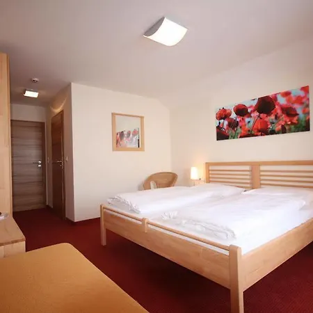 Berghotel Schmittenhoehe Schmitten