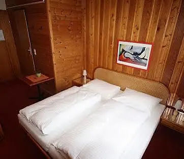 Berghotel Schmittenhoehe מלון 4*